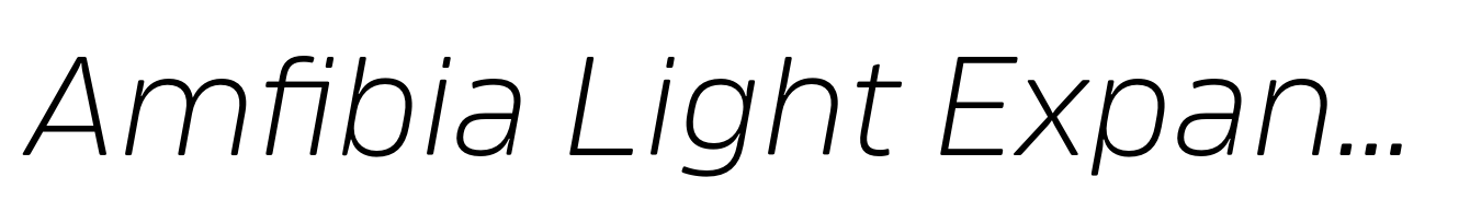 Amfibia Light Expanded Italic